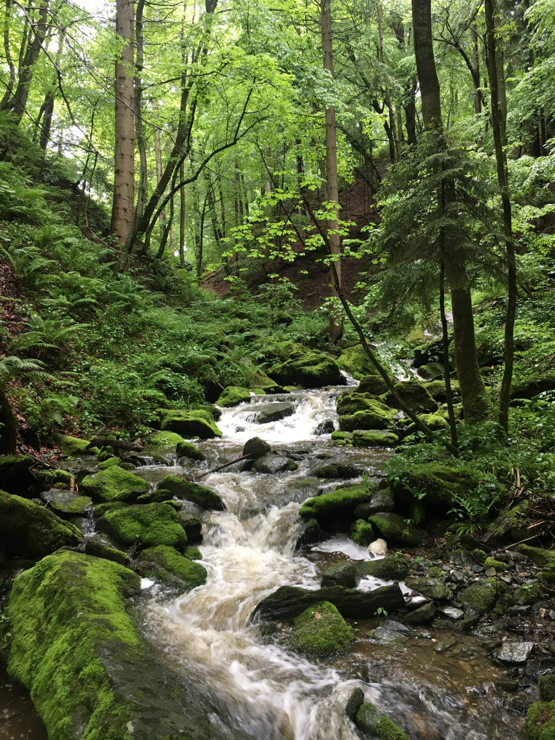 Special Site Picture